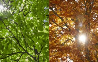 prepare for autumn