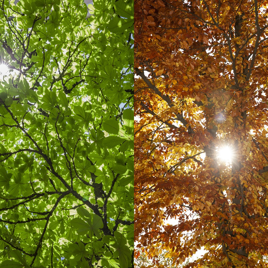 prepare for autumn